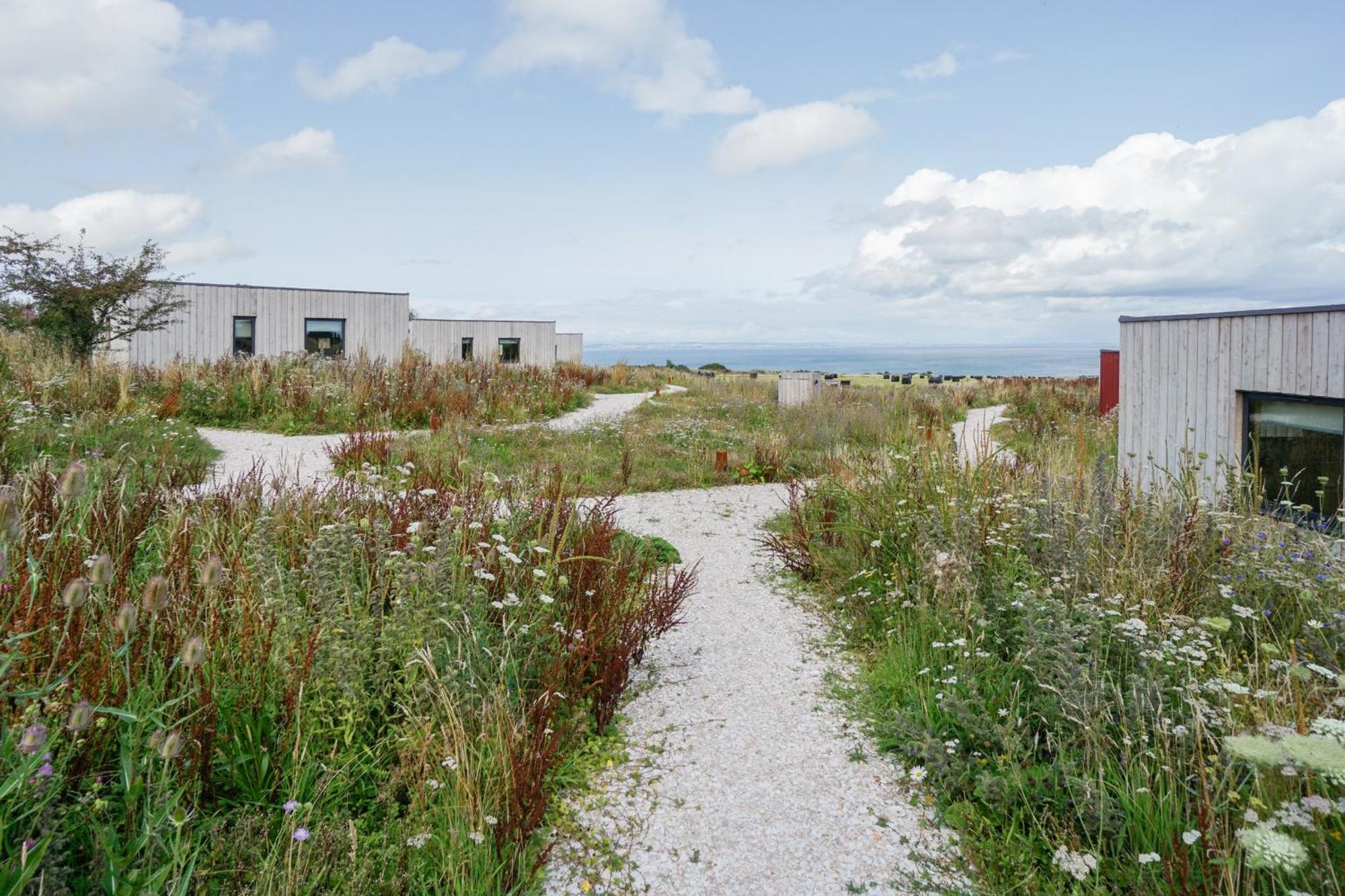 Rustic Cabins, Sea Views From Rewilded Farm With Highland Cows St Andrews Exterior photo